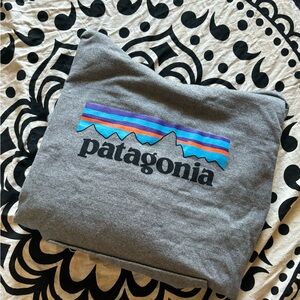 Patagonia hoodie